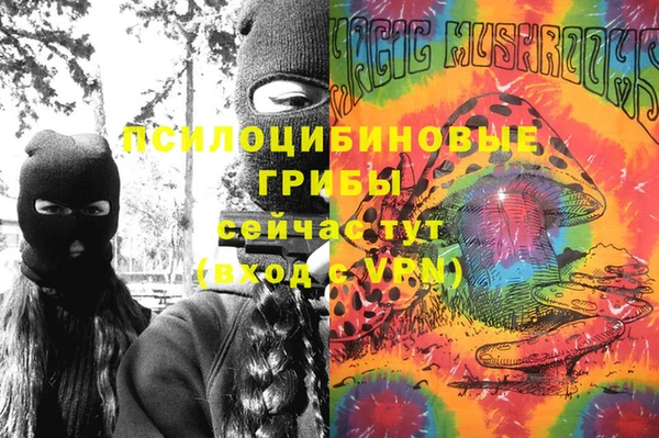 шишки Краснотурьинск