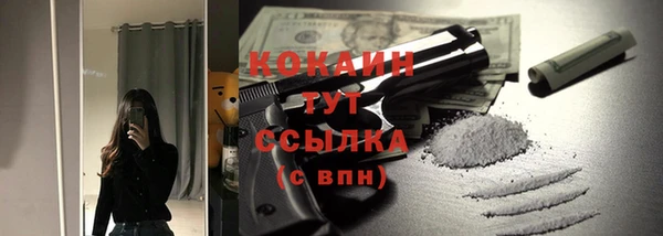 шишки Краснотурьинск