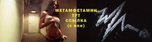 шишки Краснотурьинск