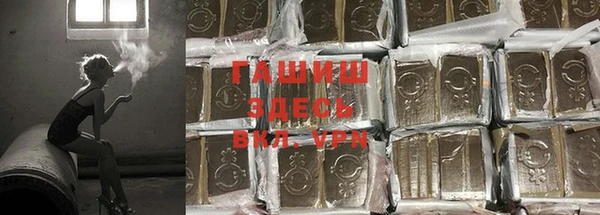 шишки Краснотурьинск